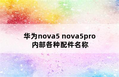 华为nova5 nova5pro内部各种配件名称